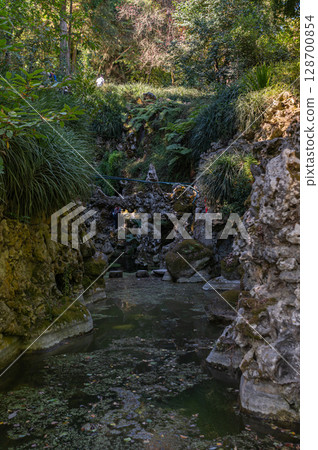 A tranquil creek surrounded by lush greenery in a serene forest setting during daylight 128700854