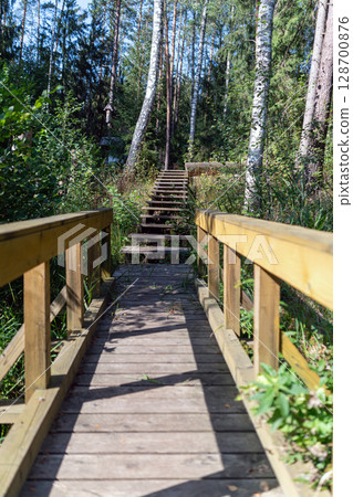 Wooden walkway winding through a densely wooded forest on a sunny day during late summer Wooden walkway winding through a densely wooded forest on a sunny day during late summer 128700876