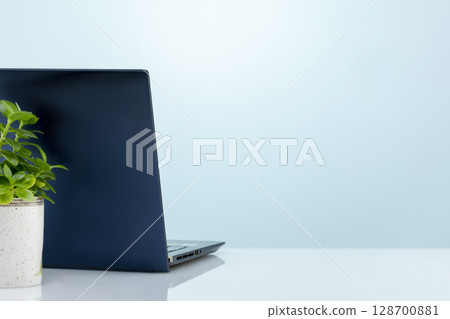 Close up view of simple workspace with laptop and tree pot on white table on blue background. Technology work concept, laptop, notebook, internet. Empty space for montage of your products. Copy space Close up view of simple workspace with laptop and tree pot on white table on blue background. Technology work concept, laptop, notebook, internet. Empty space for montage of your products. Copy space 128700881