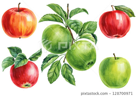 Watercolor apple clipart set with red and green apples with leaves hand painted botanical fruit collection isolated on white 128700971