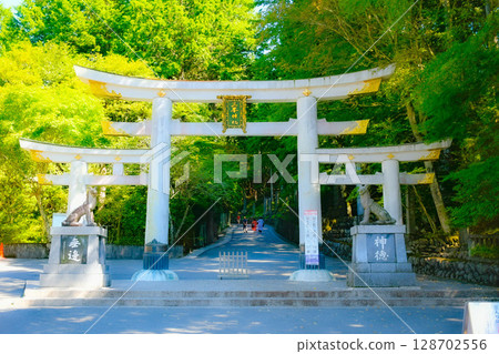 Torii of Mikumi Shrine Torii of Mikumi Shrine 128702556