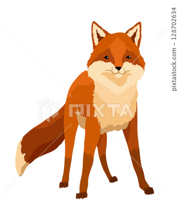 Red fox. Funny character, forest mammal predator. Cartoon forest animal, mammal with cute emotion on face. Orange fox, wildlife animal, isolated on white background 128702634