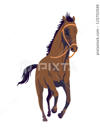 A detailed vector drawing depicting a brown horse adorned with a bridle 128702686