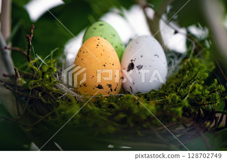 bird nest with colored Easter eggs on branches of green trees, easter decoration, selective focus bird nest with colored Easter eggs on branches of green trees, easter decoration, selective focus 128702749