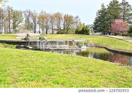 Minuma rice fields and Shichiri General Park Minuma rice fields and Shichiri General Park 128702953
