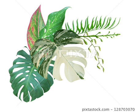 Bouquet of tropical green leaves botanical decorative arrangement nature background 128703070
