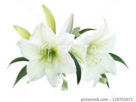 White Lily flower bouquet isolated on white background 128703073