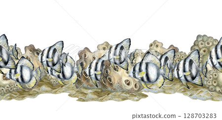 Seamless border of black-white striped tropical fish, beige corals on the reefs. Watercolor template of seascape in beige tones isolated on white background for sea design, diving, scrapbook, sticker Seamless border of black-white striped tropical fish, beige corals on the reefs. Watercolor template of seascape in beige tones isolated on white background for sea design, diving, scrapbook, sticker 128703283