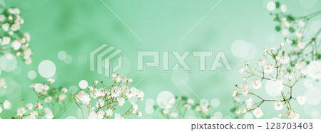 Spring flower banner with branches of blossoming white gypsophila on green background with bokeh effect end empty space for text. Spring time. Natural blossoming background. Banner size, copy space Spring flower banner with branches of blossoming white gypsophila on green background with bokeh effect end empty space for text. Spring time. Natural blossoming background. Banner size, copy space 128703403