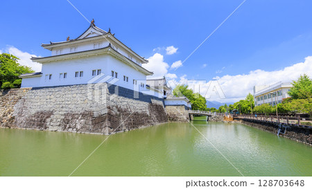 Summer at Suruga Castle 128703648