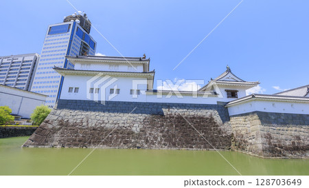 Summer at Suruga Castle 128703649