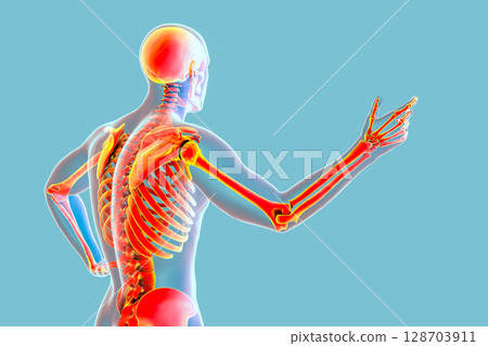 Human body with skeleton, 3D illustration Human body with skeleton, 3D illustration 128703911