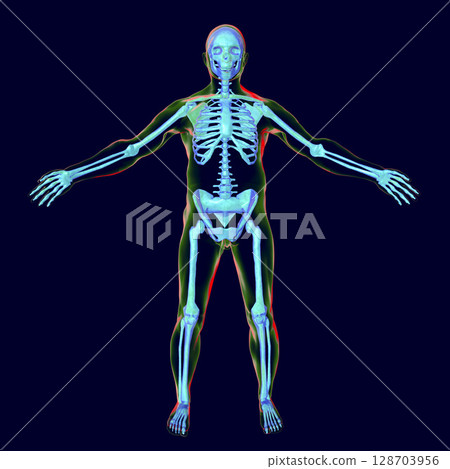 Male body with skeleton inside 128703956