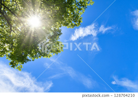 夏日的陽光 128704210