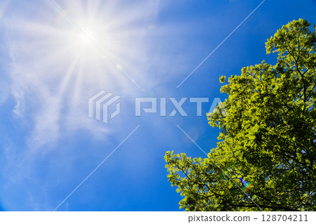 夏日的陽光 128704211