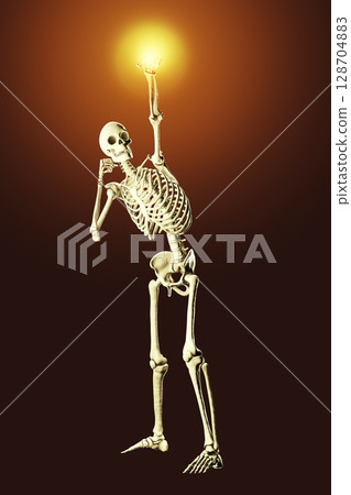 Anatomy of boxing sport, 3D illustration Anatomy of boxing sport, 3D illustration 128704883