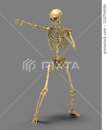 Anatomy of boxing sport, 3D illustration 128704886