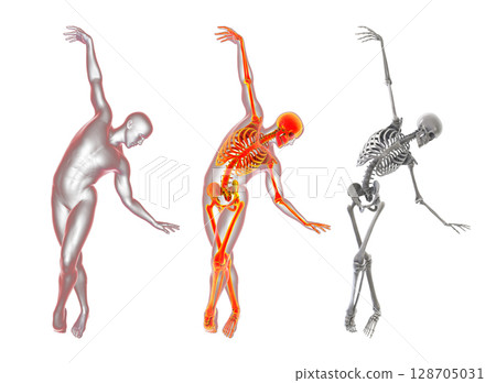 Anatomy of dancing and ballet, 3D illustration Anatomy of dancing and ballet, 3D illustration 128705031