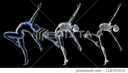 Anatomy of dancing and ballet, 3D illustration 128705033