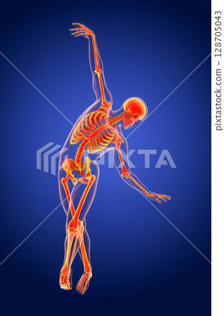 Anatomy of dancing and ballet, 3D illustration 128705043