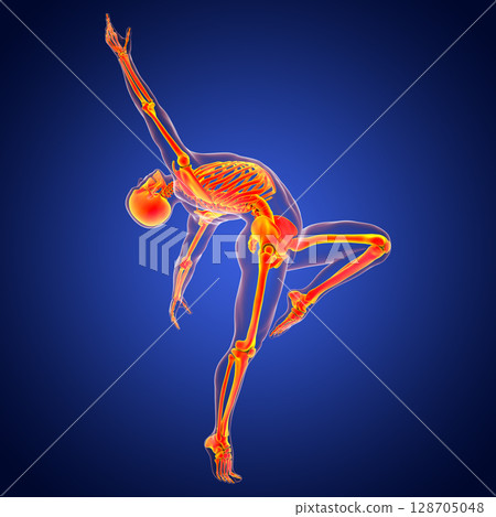 Anatomy of dancing and ballet, 3D illustration Anatomy of dancing and ballet, 3D illustration 128705048