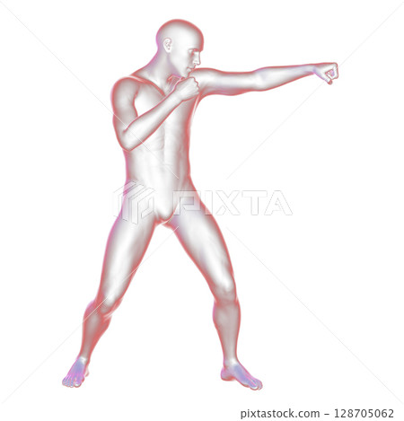 Anatomy of boxing sport, 3D illustration Anatomy of boxing sport, 3D illustration 128705062
