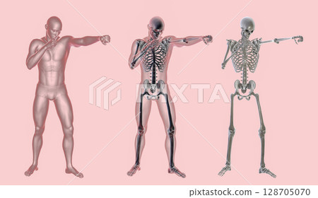 Anatomy of boxing sport, 3D illustration Anatomy of boxing sport, 3D illustration 128705070