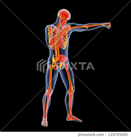 Anatomy of boxing sport, 3D illustration 128705085
