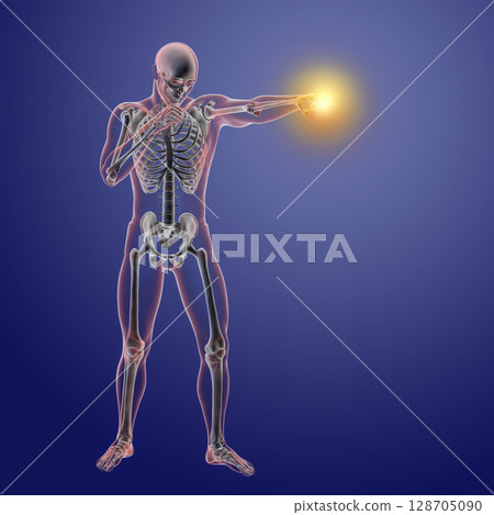 Anatomy of boxing sport, 3D illustration Anatomy of boxing sport, 3D illustration 128705090