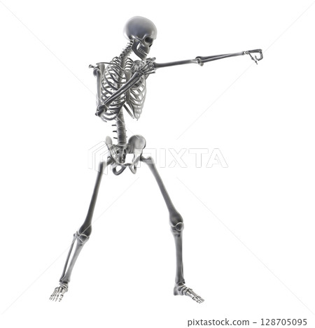 Anatomy of boxing sport, 3D illustration 128705095