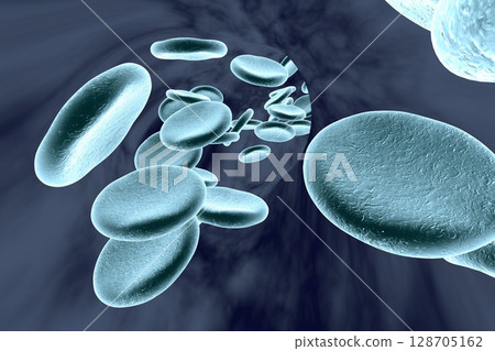 Blood vessel with erythrocytes Blood vessel with erythrocytes 128705162