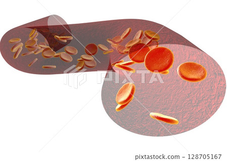 Blood vessel with erythrocytes Blood vessel with erythrocytes 128705167