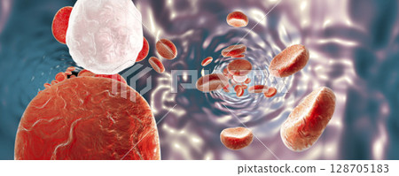 Blood vessel with erythrocytes Blood vessel with erythrocytes 128705183