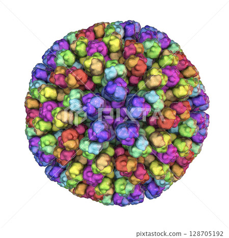 Bluetongue virus BTV 128705192