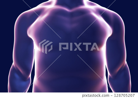 Human body silhouette, illustration Human body silhouette, illustration 128705207