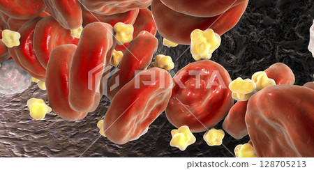 Cholesterol molecules in blood 128705213