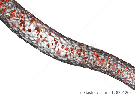 Blood vessel with flowing blood cells 128705262