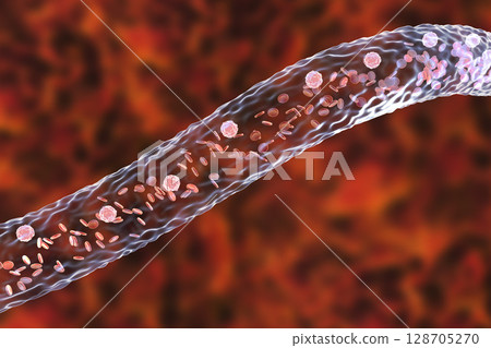 Blood vessel with flowing blood cells 128705270