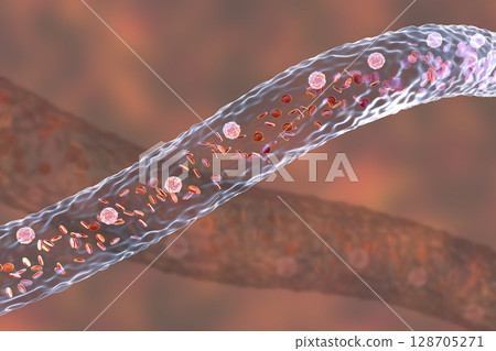 Blood vessel with flowing blood cells Blood vessel with flowing blood cells 128705271