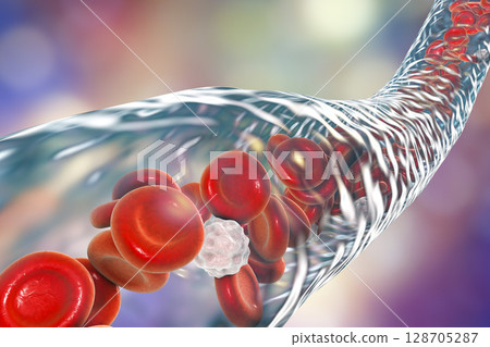 Blood vessel with flowing erythrocytes and leukocytes 128705287