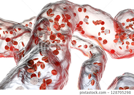 Blood vessels with flowing blood cells Blood vessels with flowing blood cells 128705298