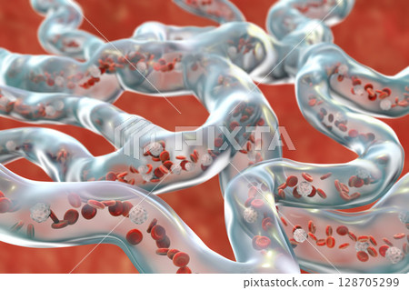 Blood vessels with flowing blood cells 128705299
