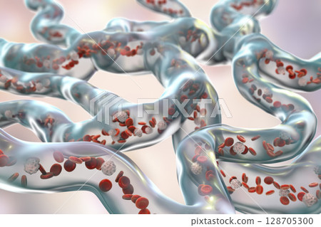 Blood vessels with flowing blood cells 128705300
