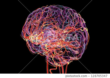 Brain arteries, 3D illustration 128705347