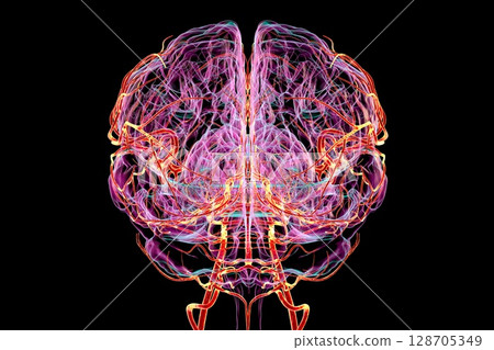 Brain arteries, 3D illustration 128705349