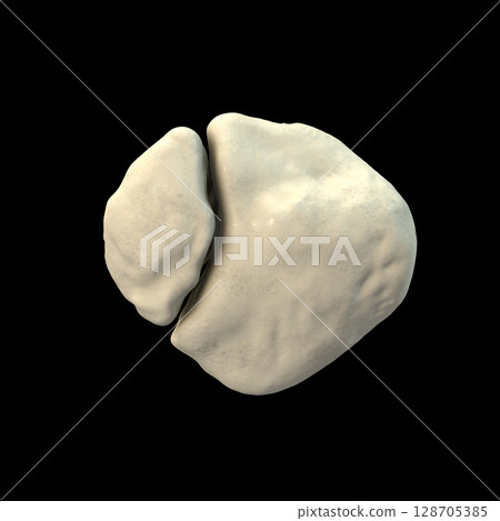 Bipartite patella, a condition where the kneecap has an unfused accessory ossification center, usually superolateral, 3D illustration. Bipartite patella, a condition where the kneecap has an unfused accessory ossification center, usually superolateral, 3D illustration. 128705385