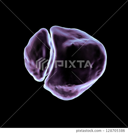 Bipartite patella, a condition where the kneecap has an unfused accessory ossification center, usually superolateral, 3D illustration. Bipartite patella, a condition where the kneecap has an unfused accessory ossification center, usually superolateral, 3D illustration. 128705386
