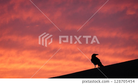 Sunset sky and crow Sunset sky and crow 128705454