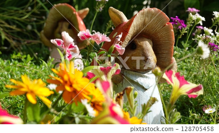 Flower garden Flower garden 128705458