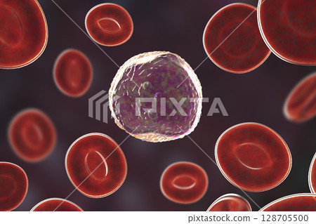 Lymphoblast, an immature white blood cell 128705500